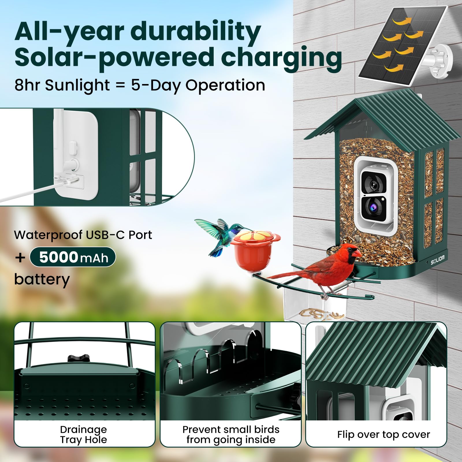 SOLIOM versatile feeding accessories attract a wider range of birds.