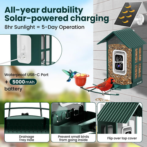 SOLIOM versatile feeding accessories attract a wider range of birds.