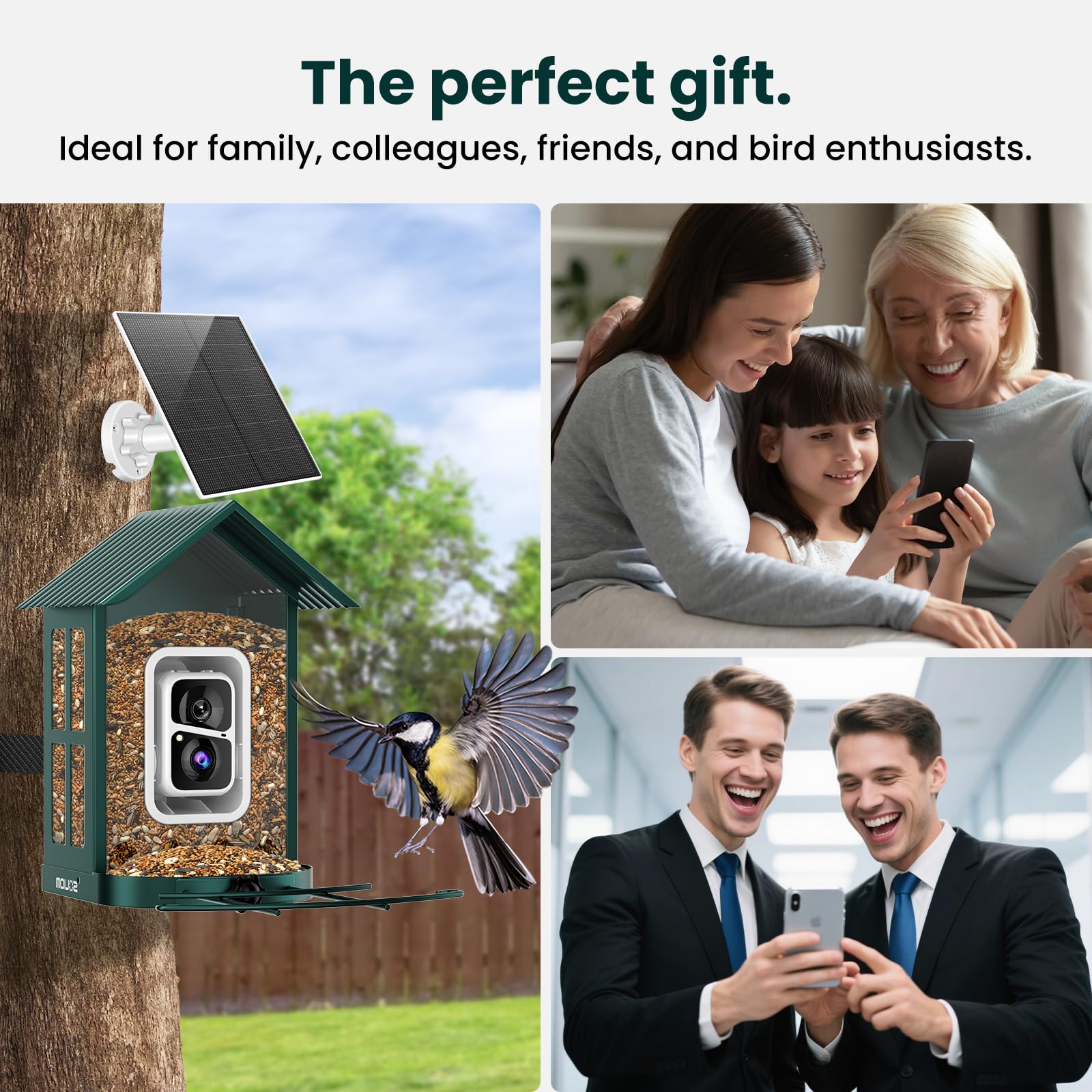 SOLIOM outdoor installation supports year-round bird watching.