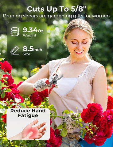 SOLODOTO ideal for roses, boxwood, and hedges