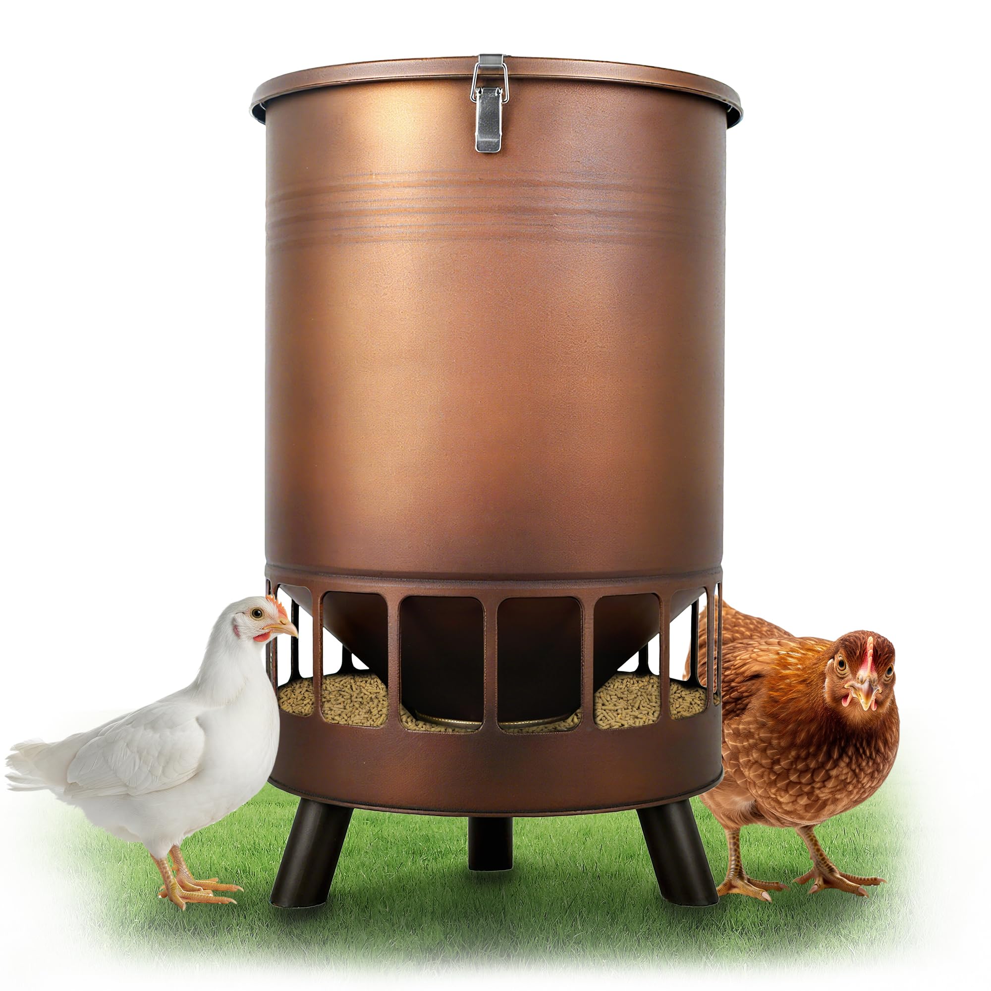 Solution4Patio 50lb no-waste feeder for outdoor coops with large capacity.