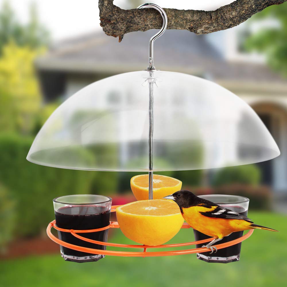 Solution4Patio feeder showing grape jelly cups for colorful backyard feeding.