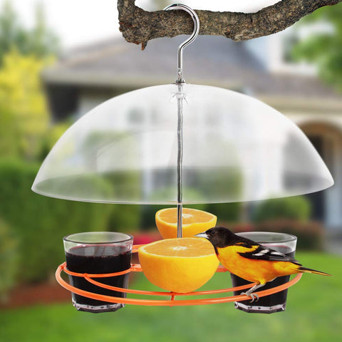 Solution4Patio feeder showing grape jelly cups for colorful backyard feeding.
