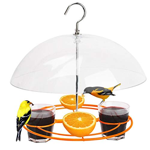 Solution4Patio Baltimore Oriole Feeder with orange-halves cups attracts orioles to your yard.