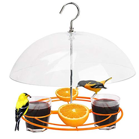 Solution4Patio Baltimore Oriole Feeder with orange-halves cups attracts orioles to your yard.