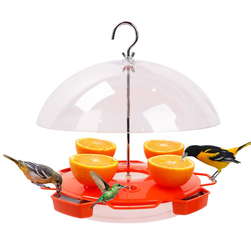 Solution4Patio Baltimore Oriole Feeder orange-tray attracts orioles and hummingbirds