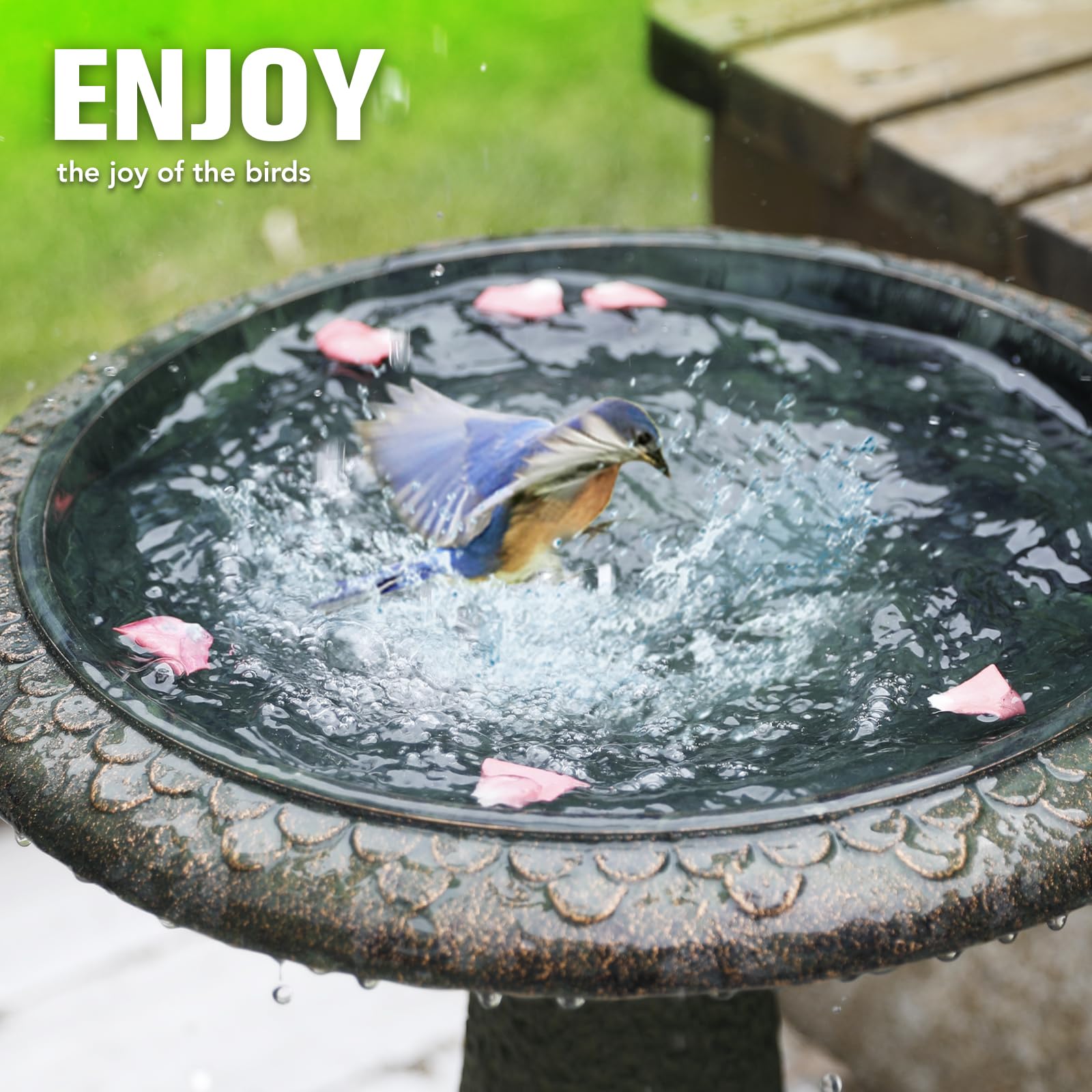Solution4Patio 2.5-inch shallow basin supports fledglings and small garden birds.