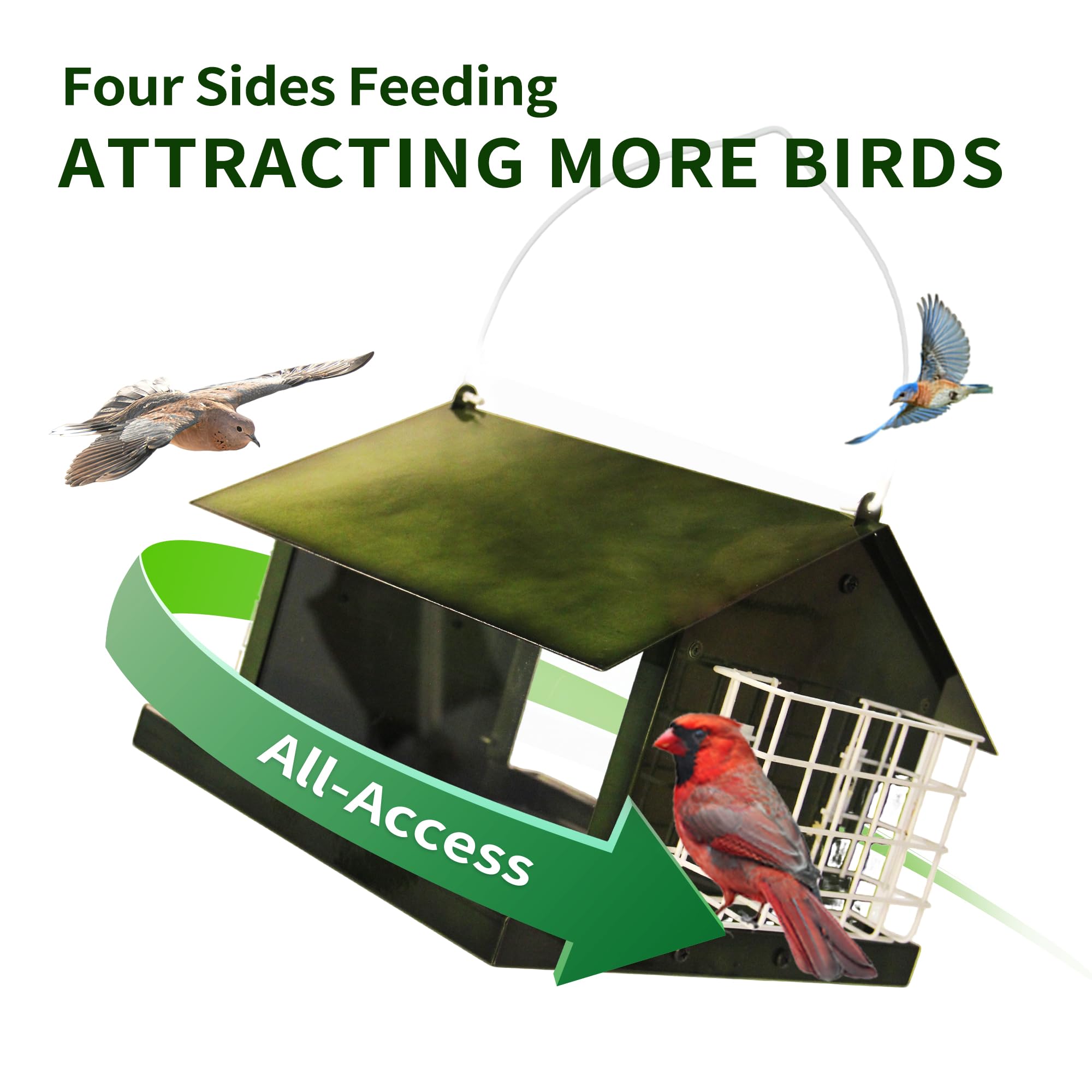 Solution4Patio double-suet cake feeder supports multi-species visits.