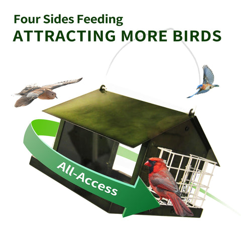 Solution4Patio double-suet cake feeder supports multi-species visits.