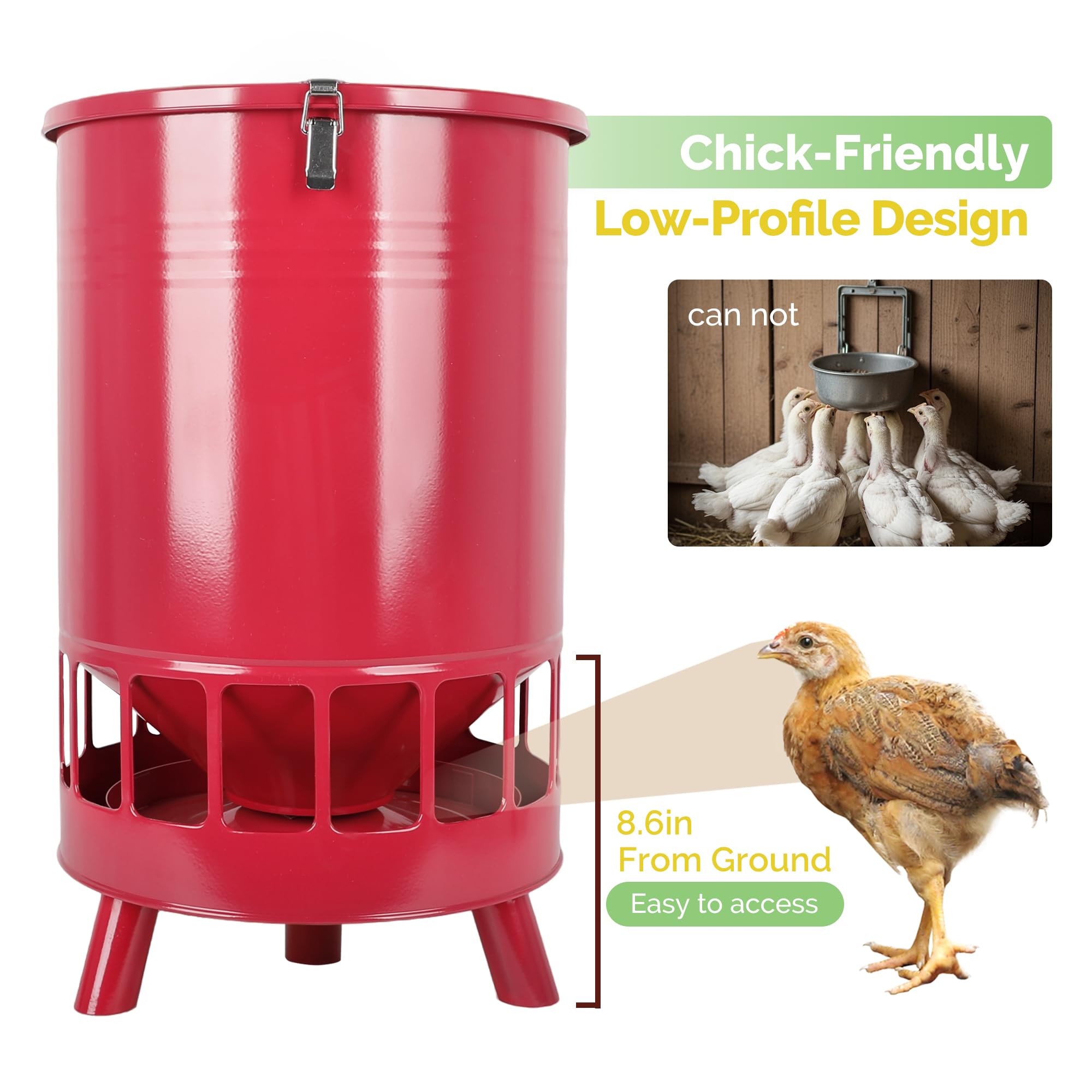 Solution4Patio chick-friendly low-profile design allows safe, easy feeding for young birds.