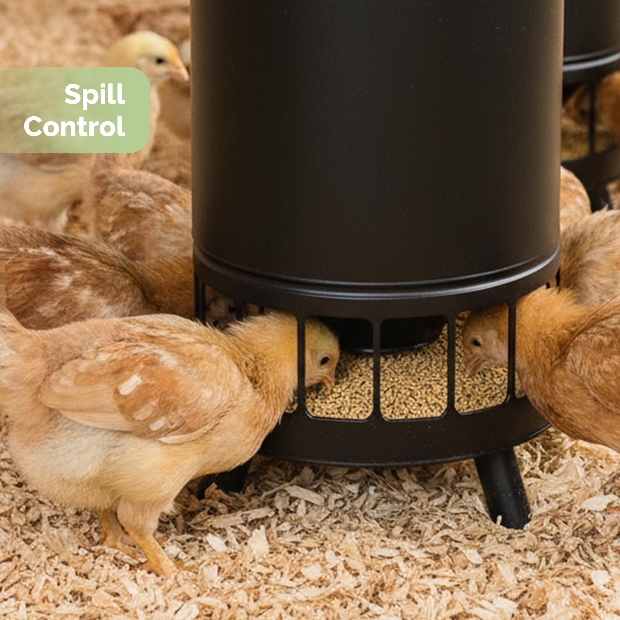 Solution4Patio 65 LB poultry feeder designed for durability in harsher climates