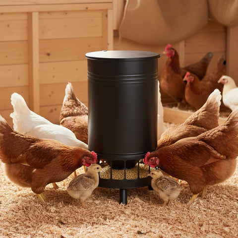 Solution4Patio 65 LB feeder with smooth cylindrical body reduces corner residue