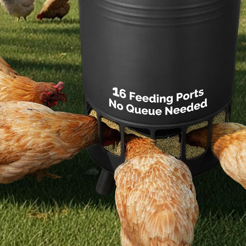 Solution4Patio 65 LB weatherproof lid with drip edge diverts rain from ports