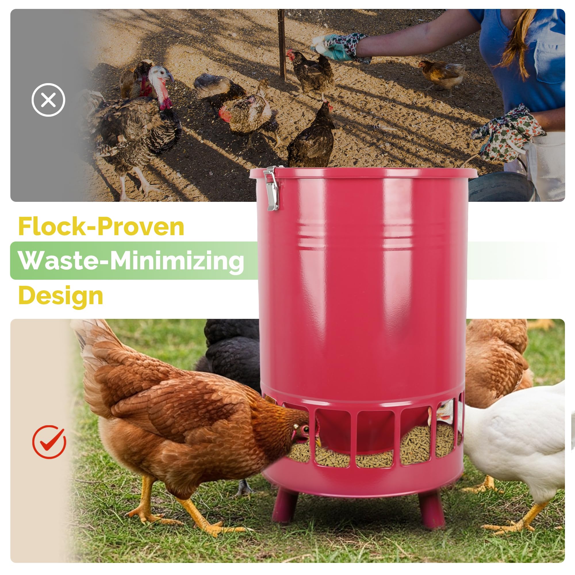 Solution4Patio gravity poultry feeder with 16 ports ensures even access for a growing flock.