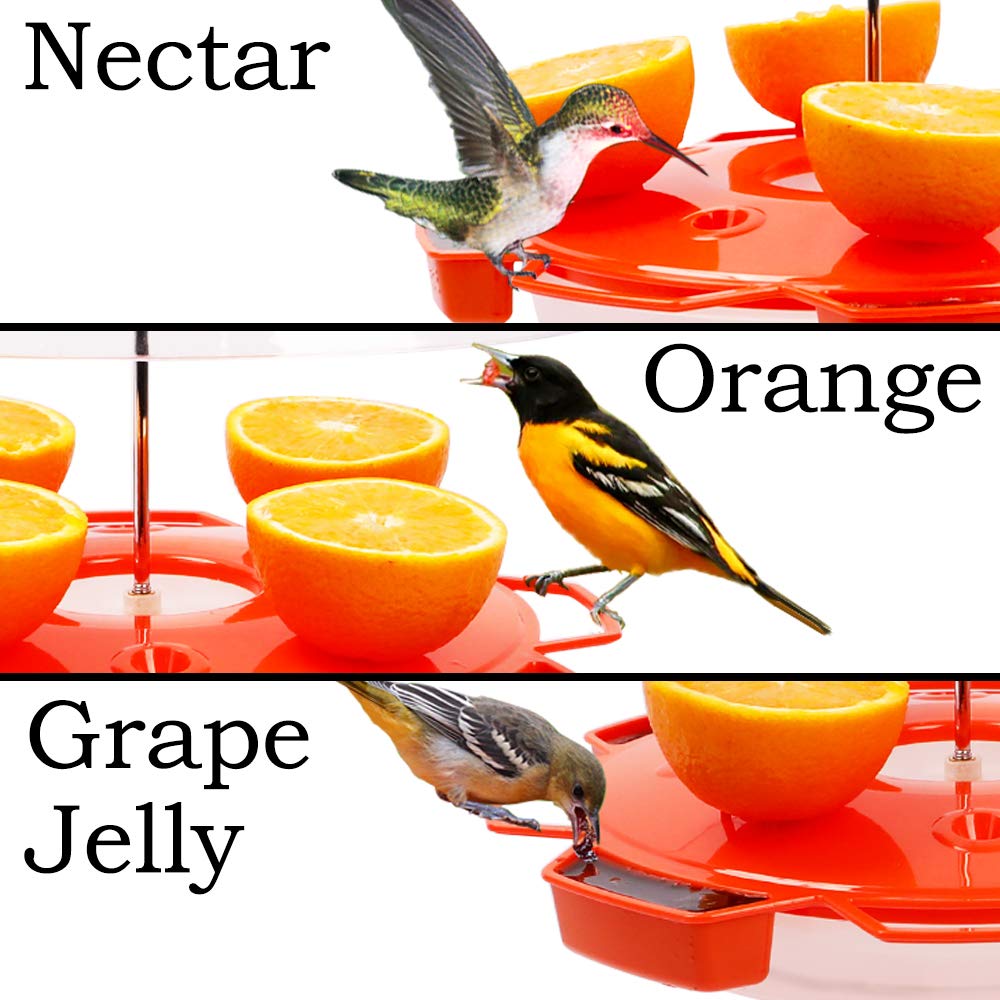 Solution4Patio hummingbird nectar-capacity 34oz ready for quick refills