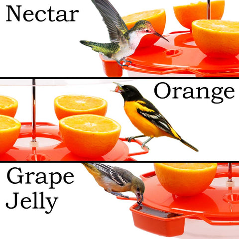 Solution4Patio hummingbird nectar-capacity 34oz ready for quick refills