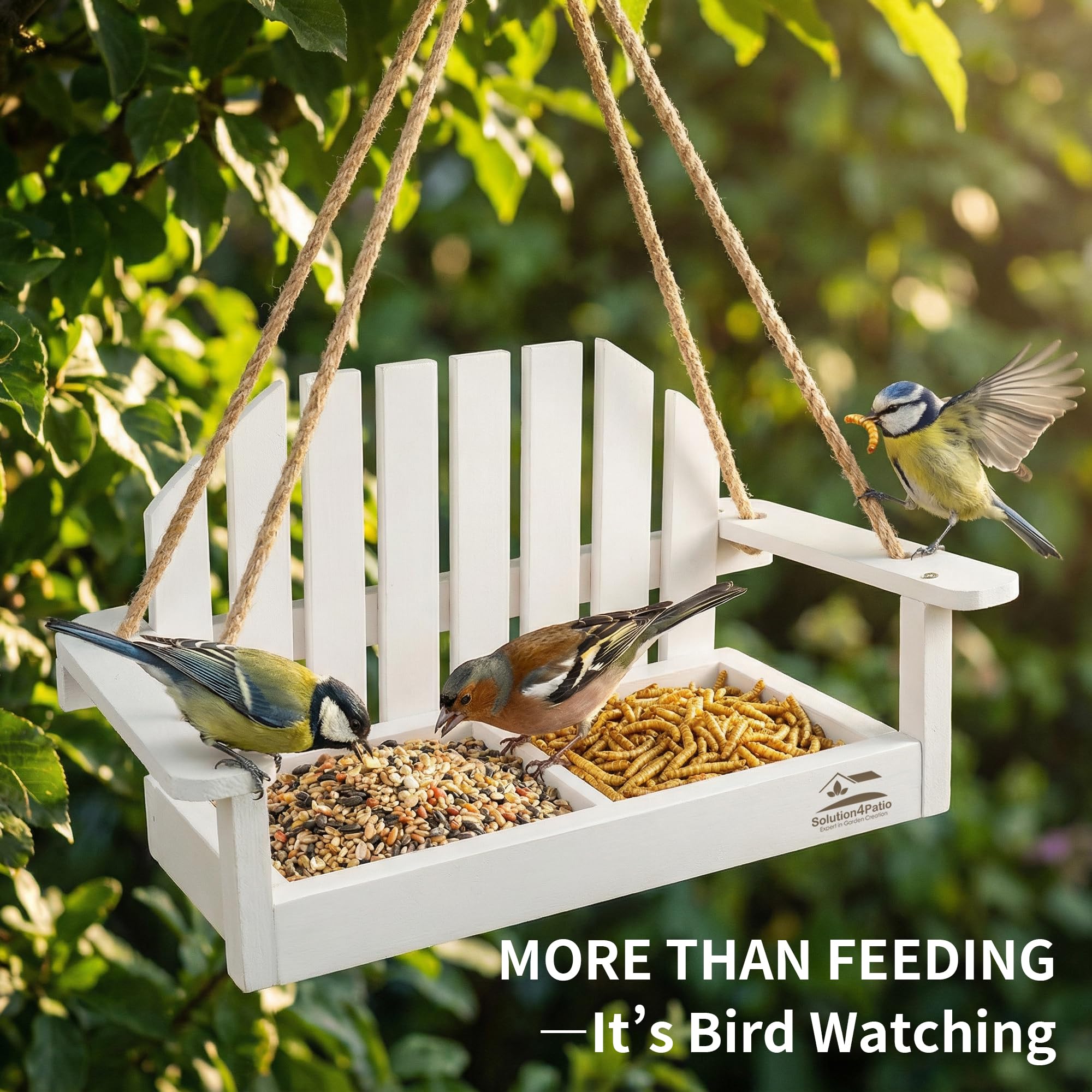 Solution4Patio multi-bird viewing platform showcasing finches and nuthatches with clear sightlines