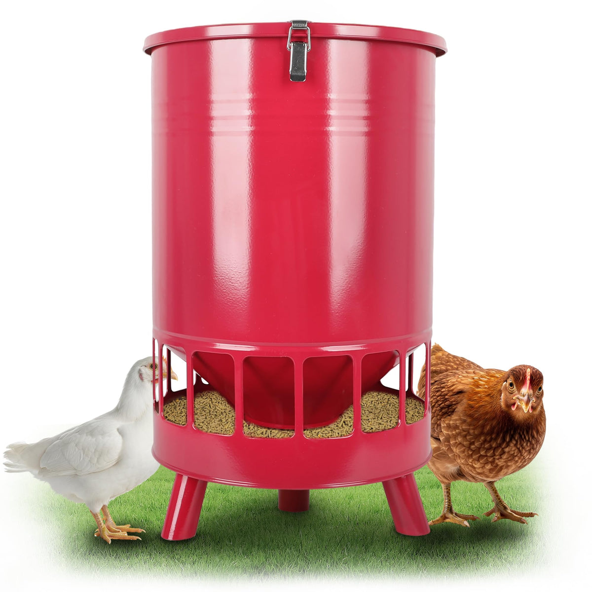 Solution4Patio no-waste feeder with 50lb capacity keeps feed dry and organized for outdoor coops.
