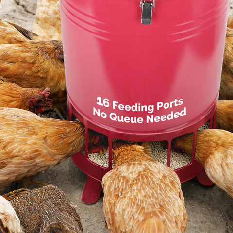 Solution4Patio oversized drip-edge lid keeps feed dry during heavy rain.