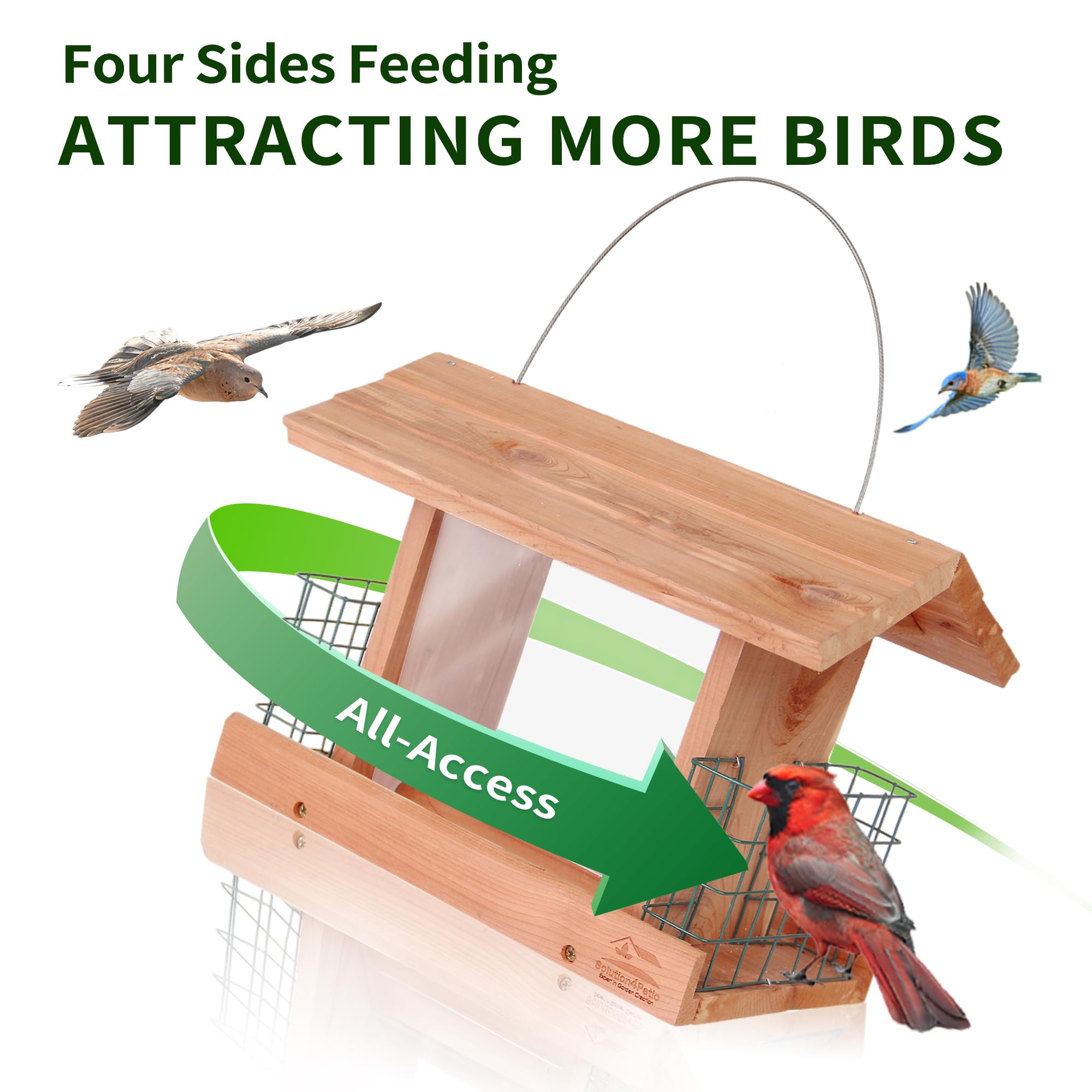 Solution4Patio squirrel-proof design helps protect seed from bold outdoor visitors.