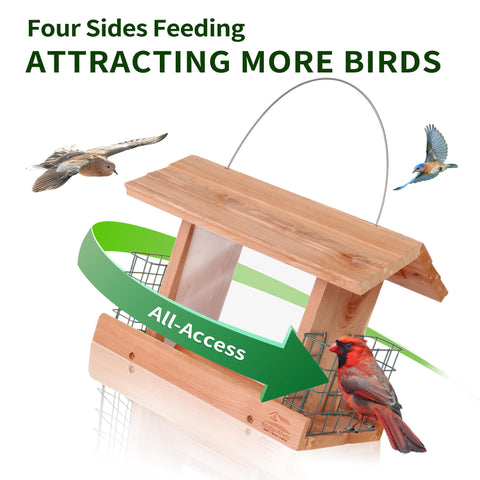 Solution4Patio squirrel-proof design helps protect seed from bold outdoor visitors.