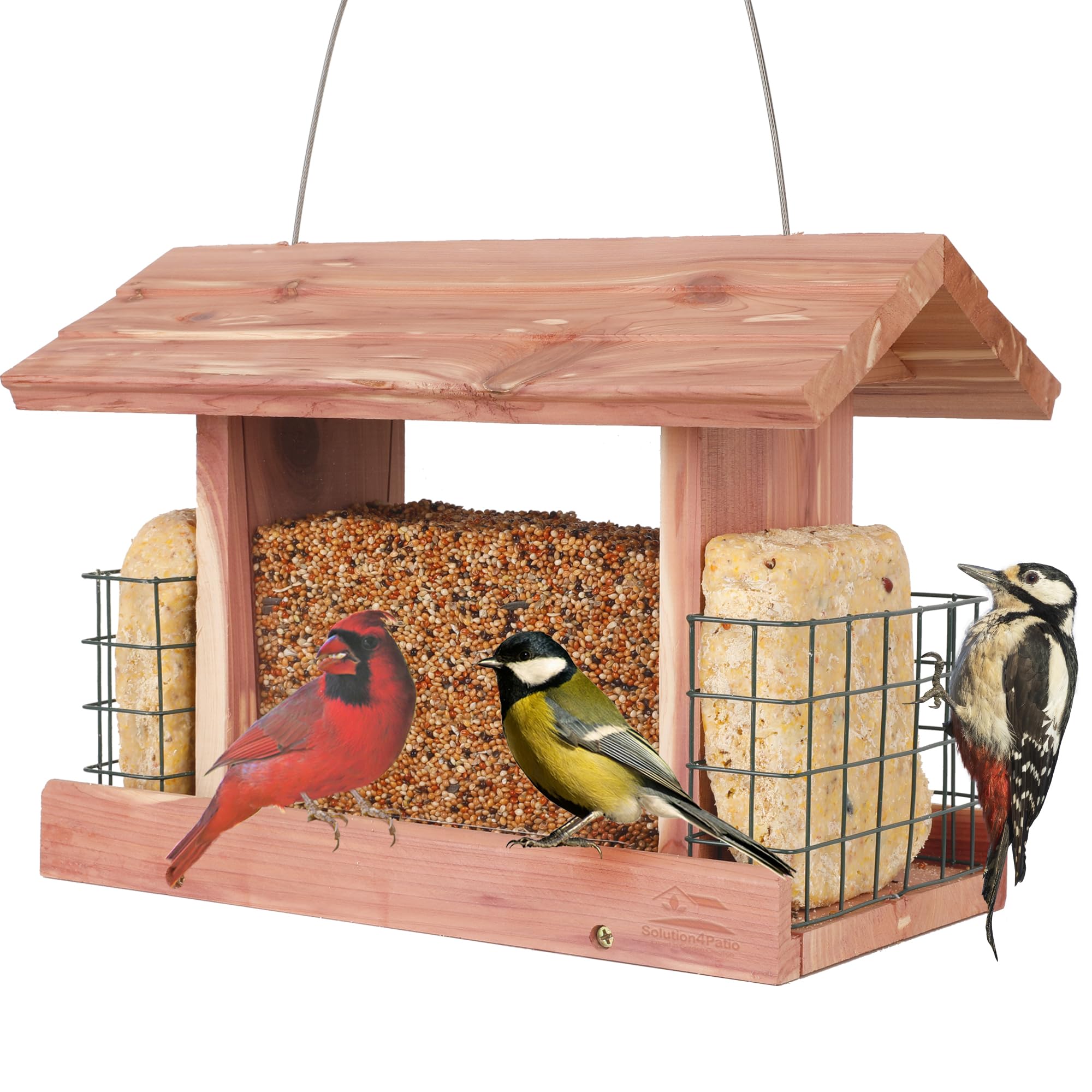 Solution4Patio cedar hopper bird feeder outdoors offers natural cedar appeal and easy viewing.