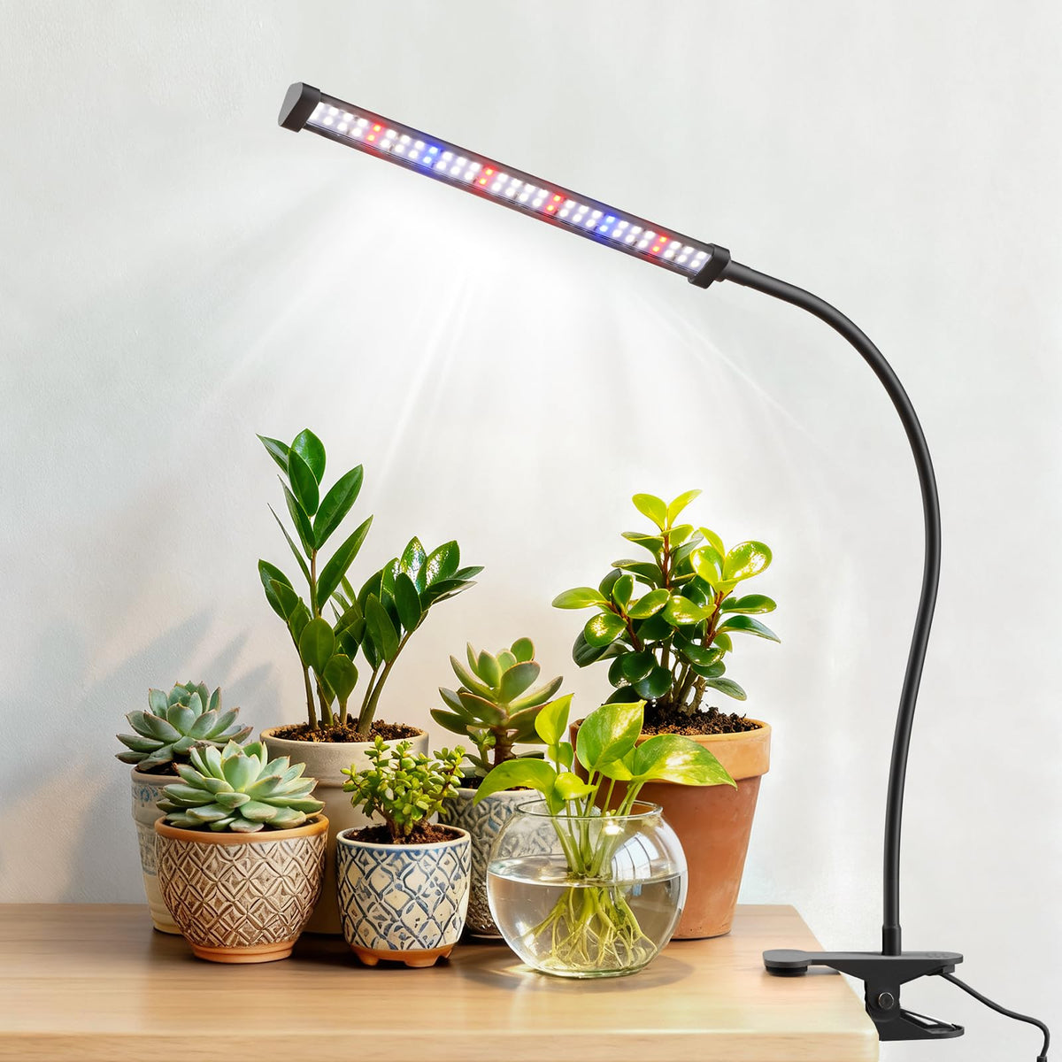 Sonamindary LED grow light with full-spectrum clip for indoor seedling growth