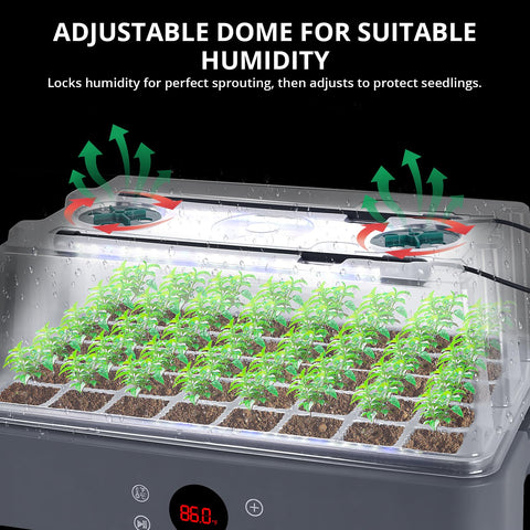 40-cell seedling tray in Sondiko kit promotes robust root development