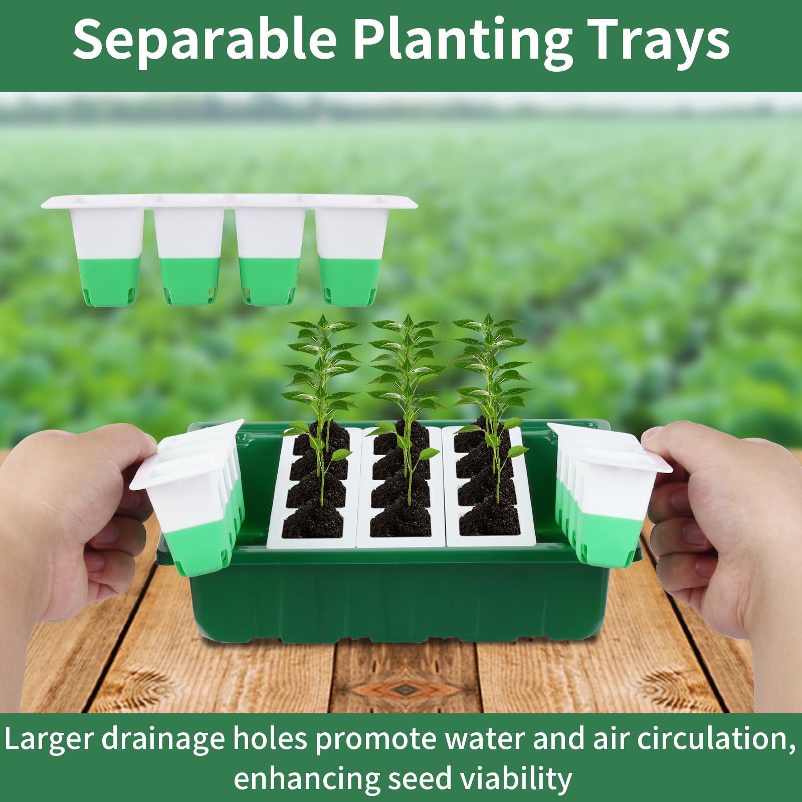 Sondiko five-row divided tray design helps water without disturbing others