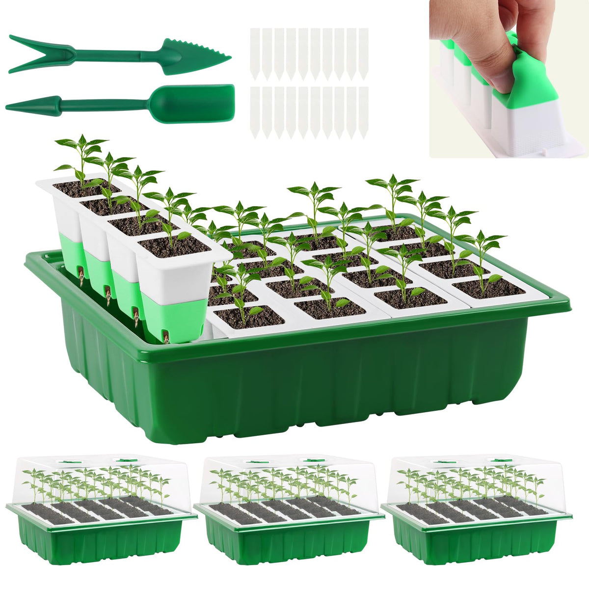 Sondiko seed starter tray 80 cells four-pack ideal for organized indoor seed starting