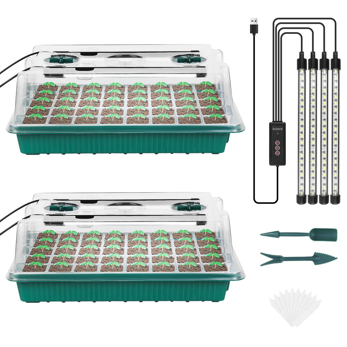Sondiko seed starter tray 80 cells for robust indoor germination.