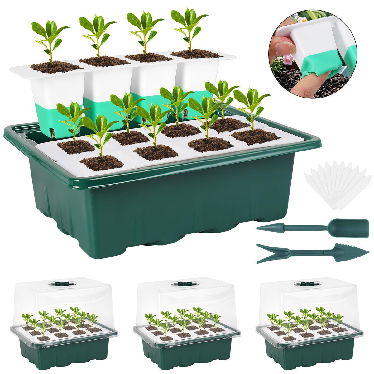 Sondiko silicone seed starter tray 48-cell enables gentle transplanting with intact roots.
