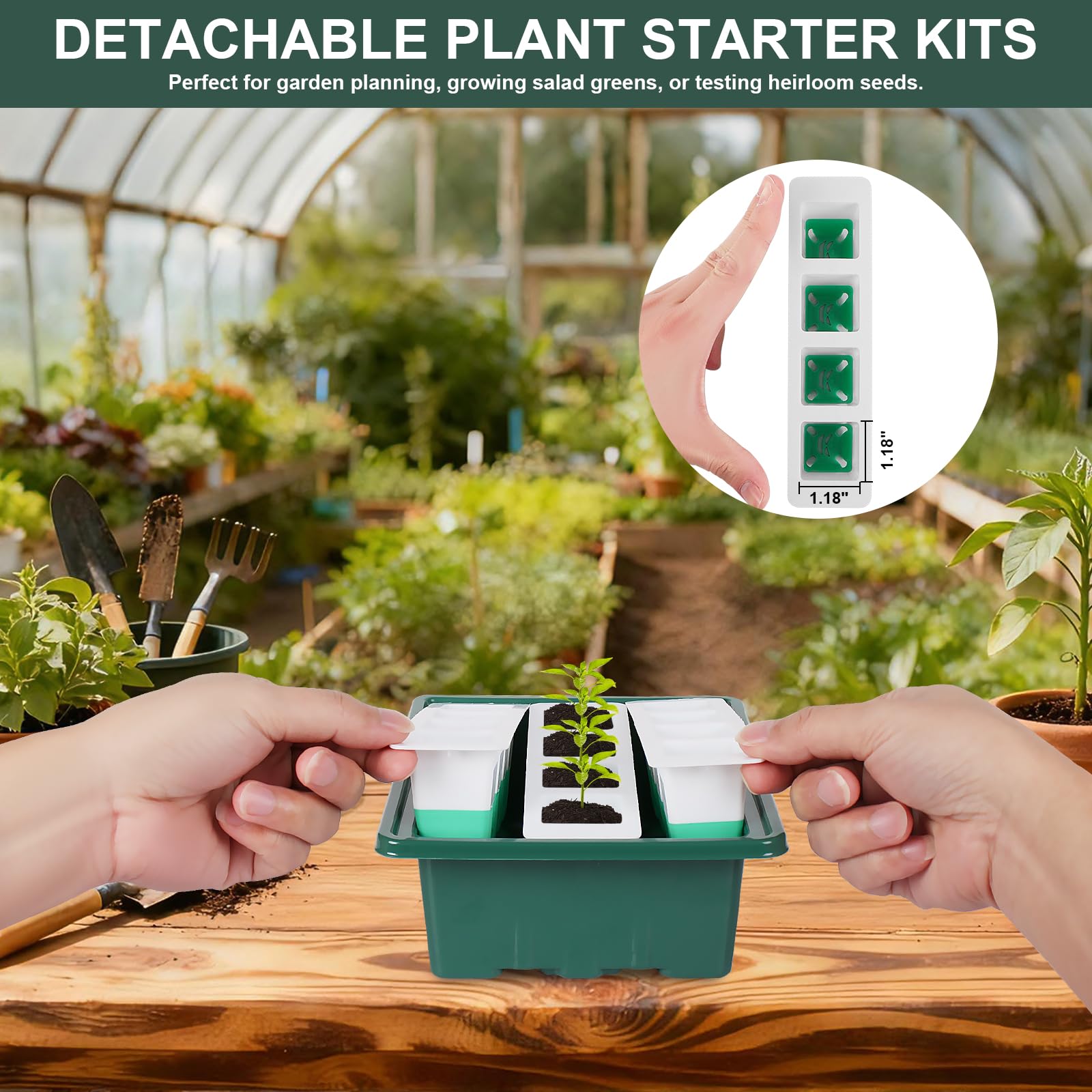 Sondiko tall clear lid offers ample space for growing seedlings.