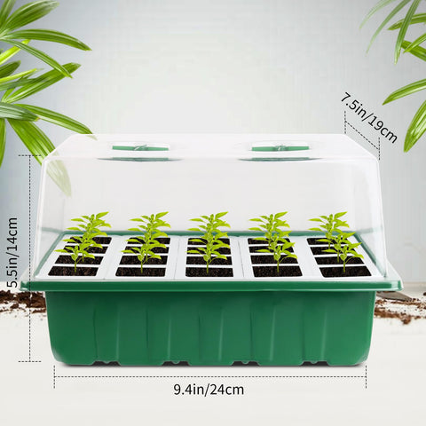 Sondiko tall clear lid 5.5 inches gives space for healthy seedling growth