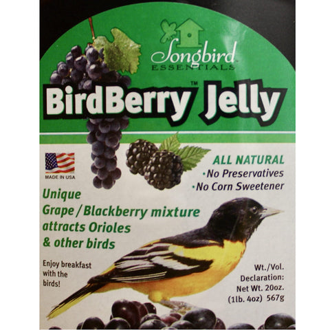 Songbird Essentials Bird Berry Jelly feeder setup shown for easy serving