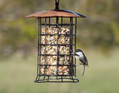 Songbird Essentials copper-colored steel roof adds durable style