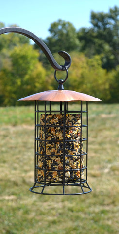Songbird Essentials scalloped roof edge resembles a flower