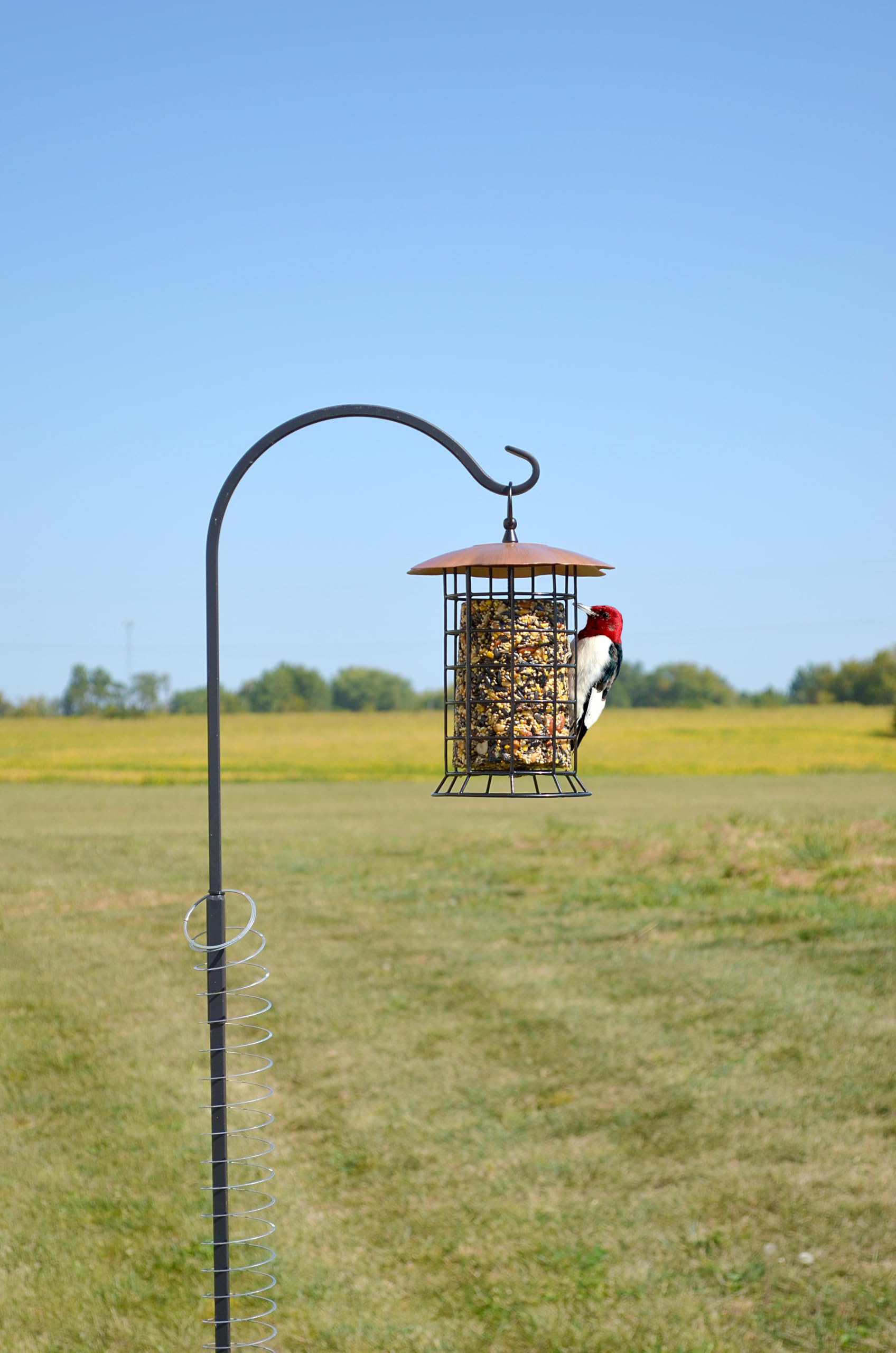 Songbird Essentials top loop for simple hanging setup