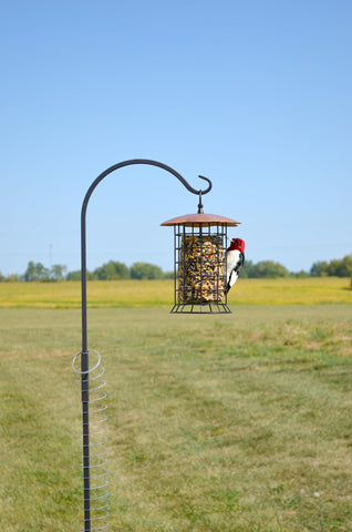 Songbird Essentials top loop for simple hanging setup