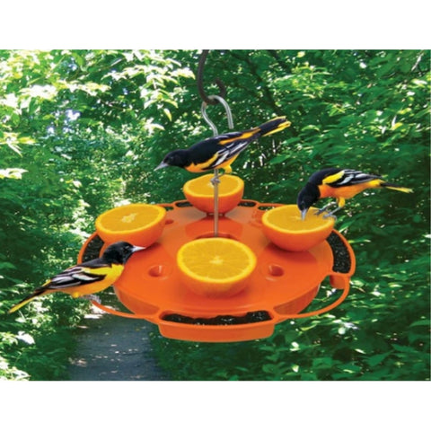 Songbird Essentials Ultimate Oriole Feeder with nectar, jelly, and orange halves attracting orioles.