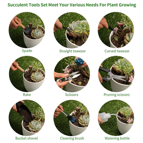Songtaste 11Pcs succulent tools set spade – ergonomic wooden handle for comfortable use.