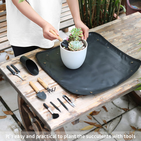 Songtaste 11Pcs succulent tools set watering bottle – curved mouth for controlled irrigation.