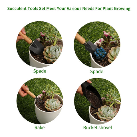 Songtaste succulent tools rake helps weed control and gentle soil leveling for tiny plants.