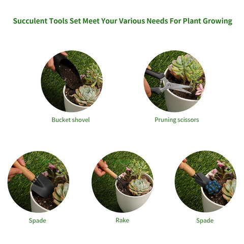 Songtaste succulent tools set rake helps loosen soil and remove debris.