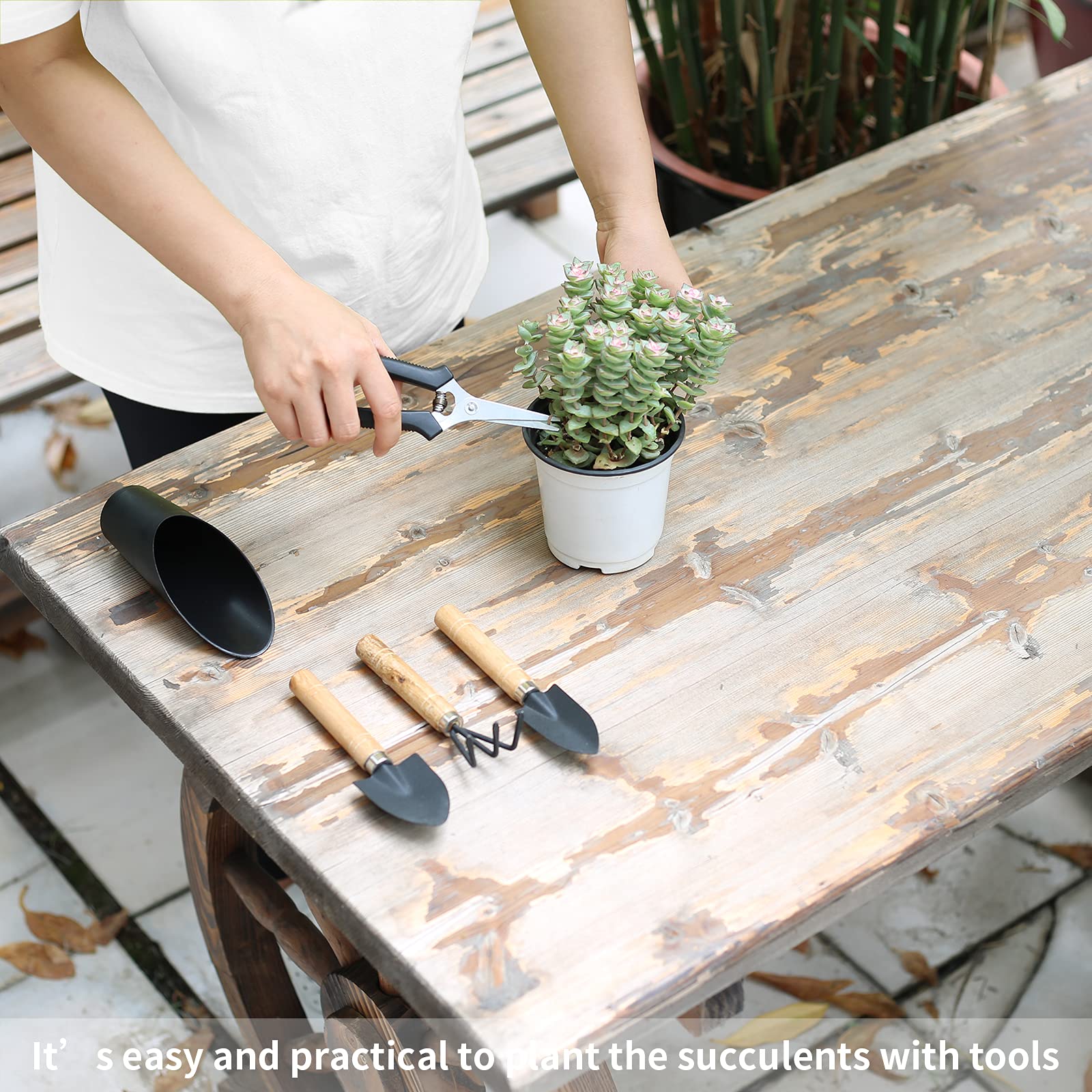 Songtaste succulent tools set wood-handle comfort during delicate pruning and transplanting.