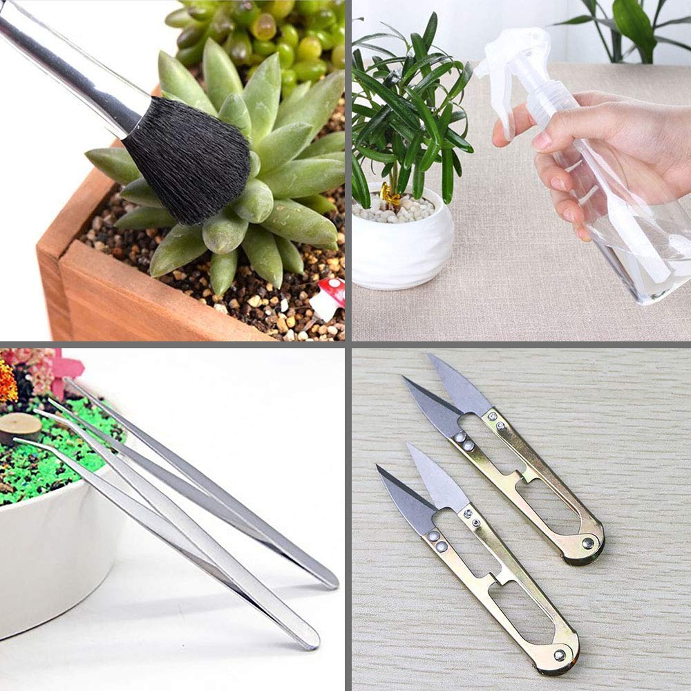 SONGZIMING air dust blower keeps tiny plant spaces clean.