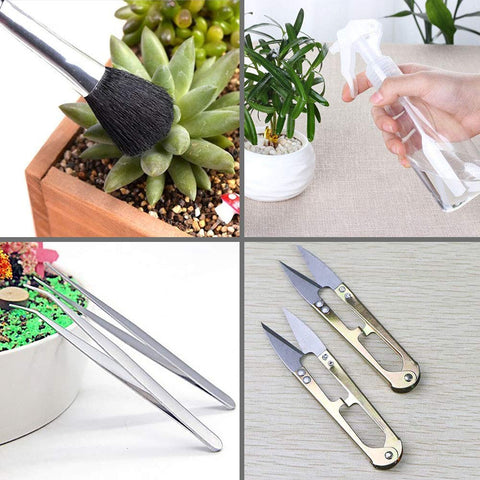 SONGZIMING air dust blower keeps tiny plant spaces clean.