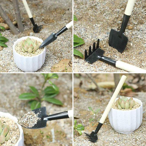 SONGZIMING curved-mouth drip bottle enables controlled irrigation.