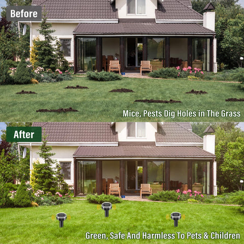 SonicPulse 10-pack enables multiple placements across the lawn.