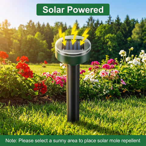 SonicPulse IP44-rated unit withstands weather and maintains underground signals.
